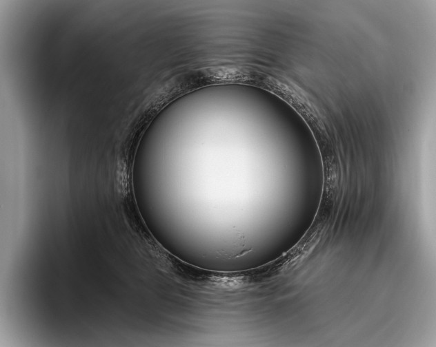 X0000095920469200801251033