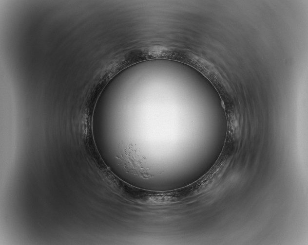 X0000095920470200801251033