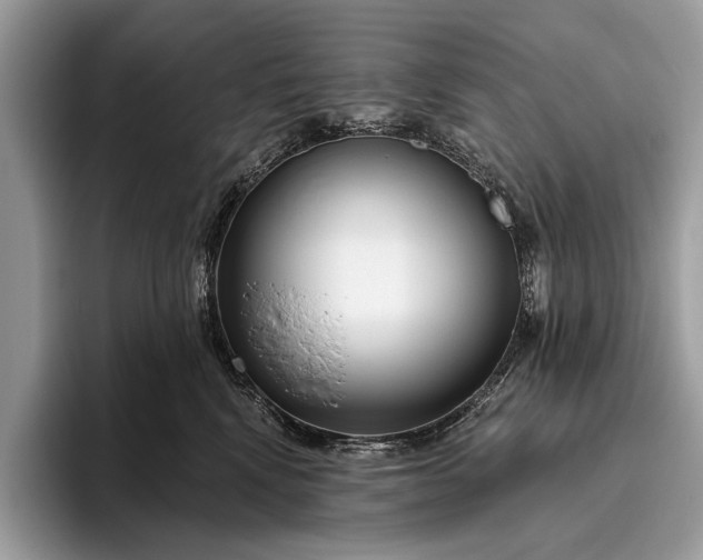 X0000095920472200801251033