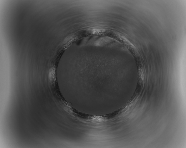 X0000095920475200801251033