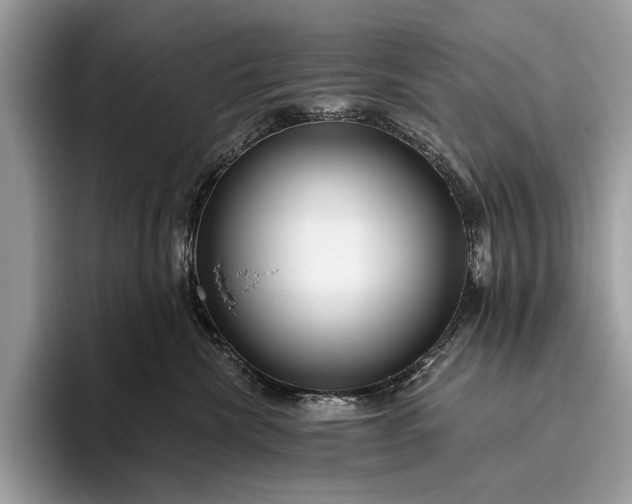 X0000095920476200801251033