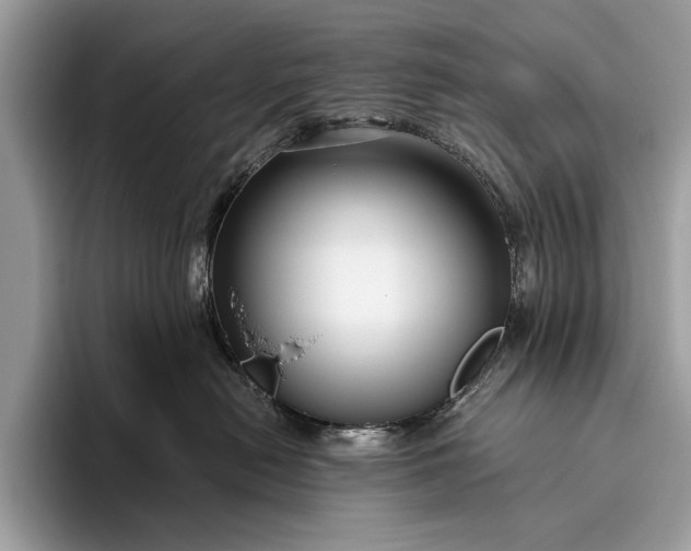 X0000095920478200801251033