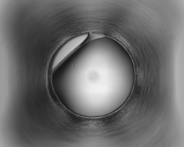 X0000095920482200801251033