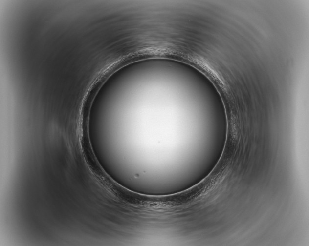 X0000095920486200801251033