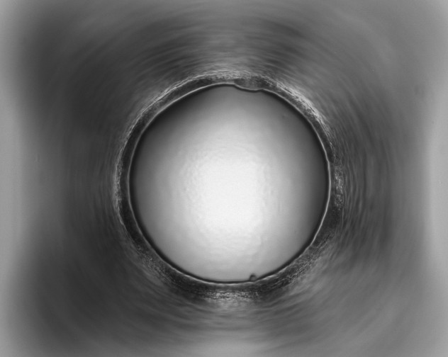 X0000095920487200801251033