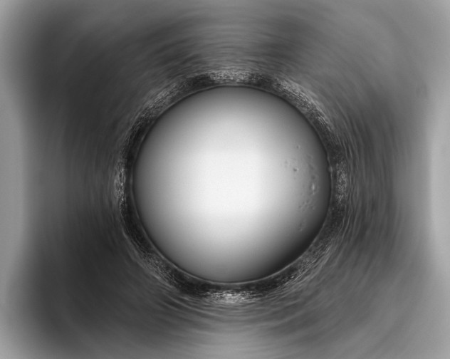 X0000095920498200801251033