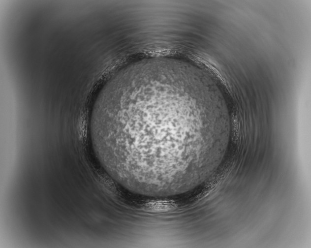 X0000095920499200801251033