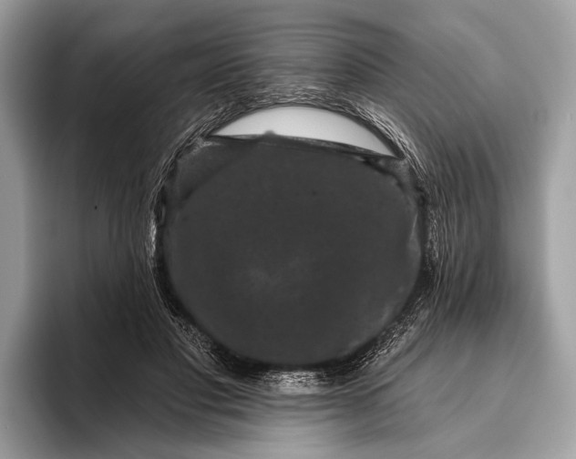 X0000095920501200801251032