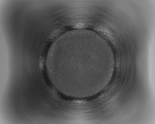 X0000095920503200801251032