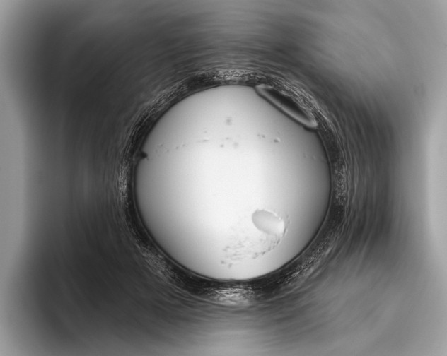 X0000095920505200801251032