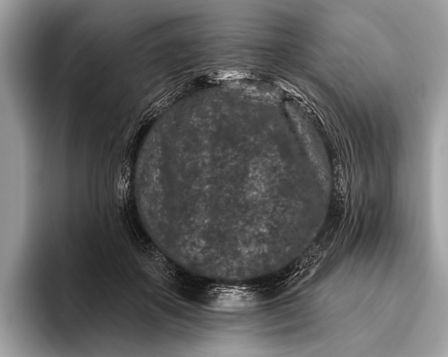 X0000095920507200801251032