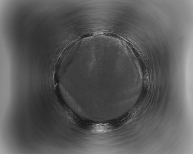 X0000095920508200801251032