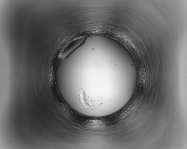 X0000095920509200801251032