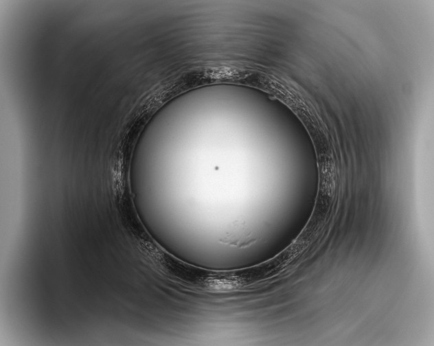 X0000095920510200801251032