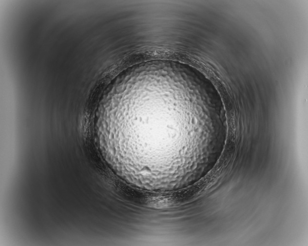 X0000095920511200801251032