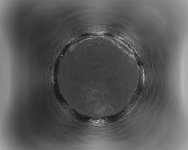 X0000095920512200801251032