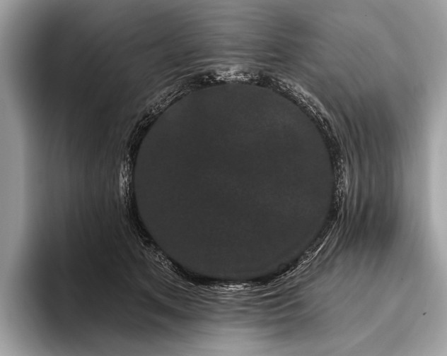 X0000095920513200801251032