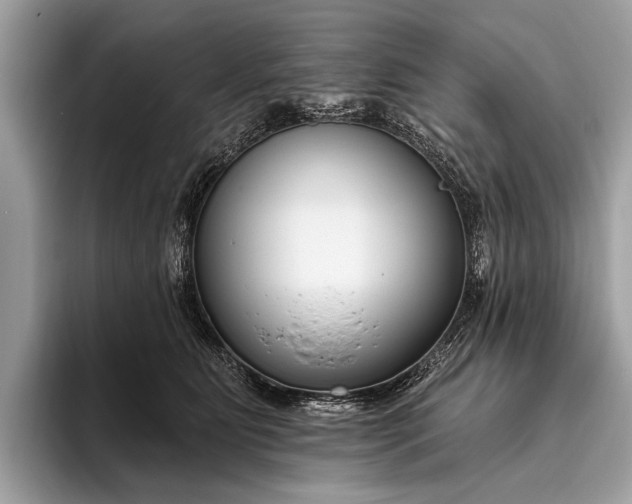 X0000095920515200801251032