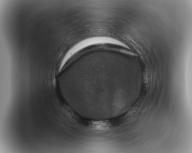 X0000095920516200801251032