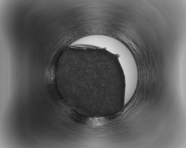 X0000095920517200801251032