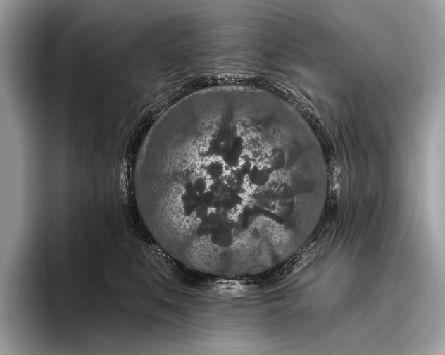 X0000095920519200801251032