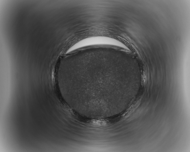 X0000095920520200801251032