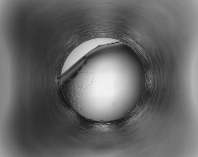 X0000095920523200801251032