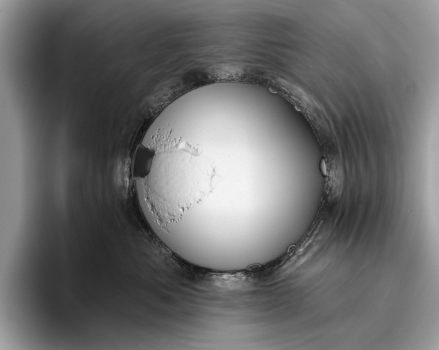 X0000095920525200801251032