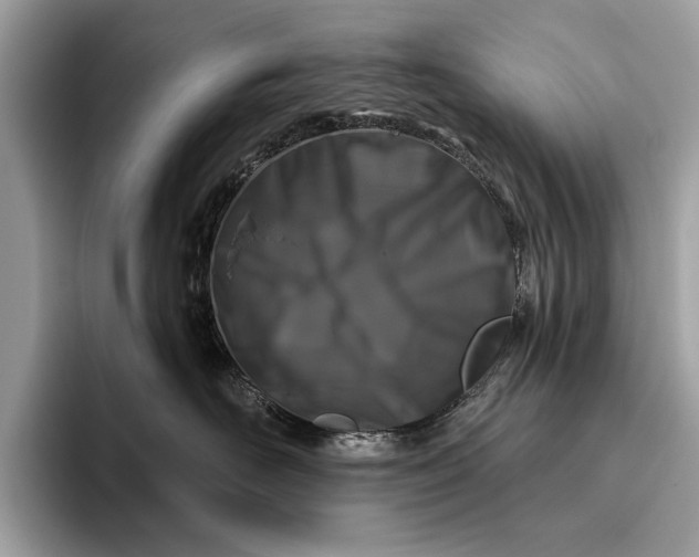 X0000095920526200801251032