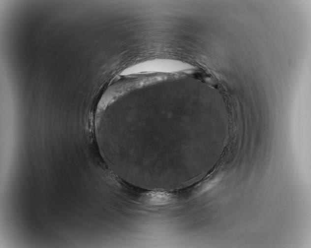 X0000095920528200801251032