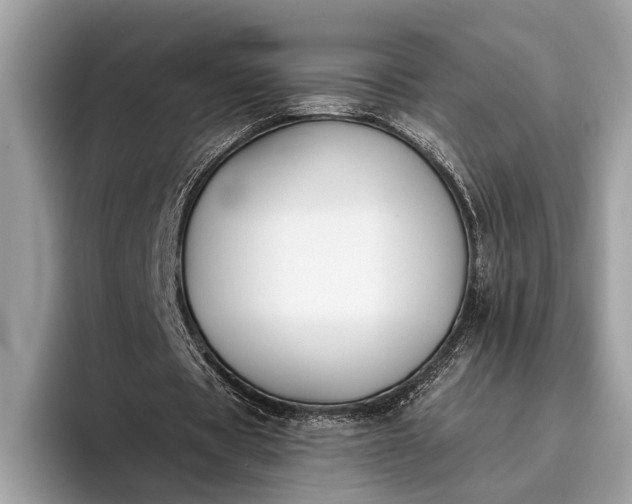 X0000095920529200801251032