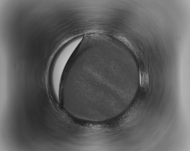 X0000095920531200801251032