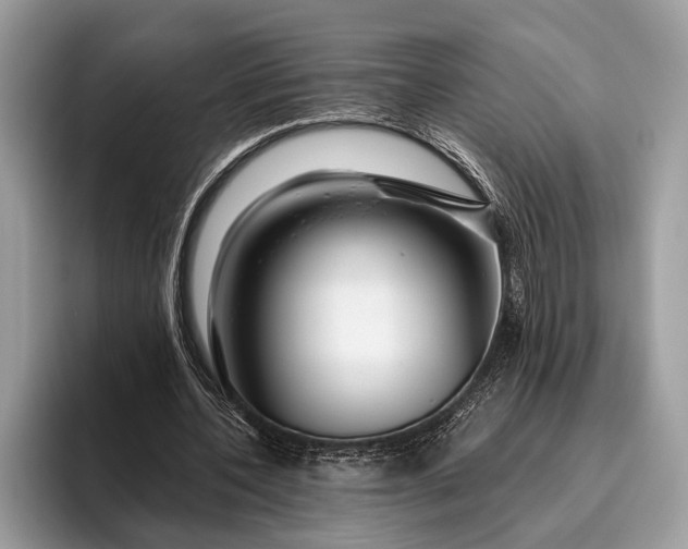 X0000095920532200801251032