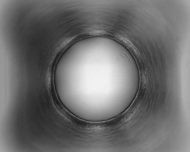 X0000095920533200801251032