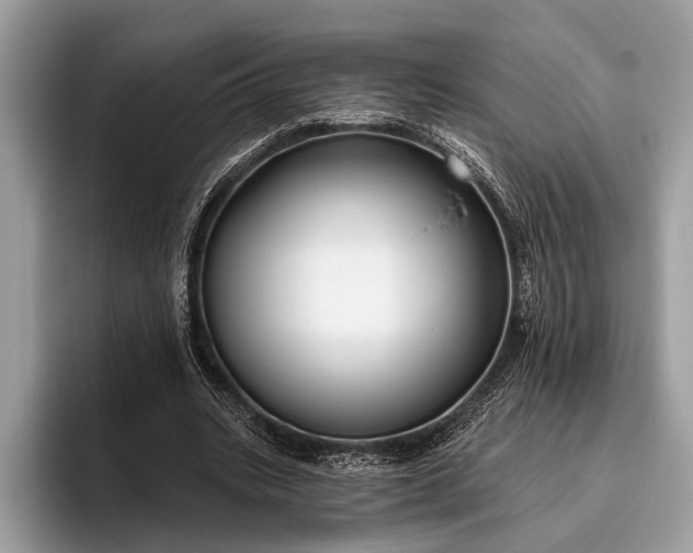 X0000095920535200801251032