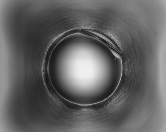 X0000095920536200801251032