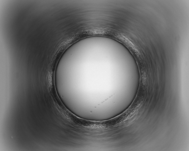 X0000095920537200801251032