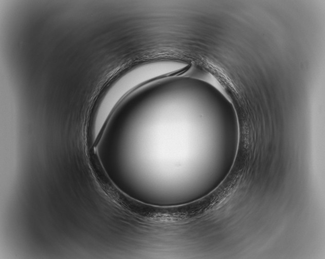 X0000095920538200801251032