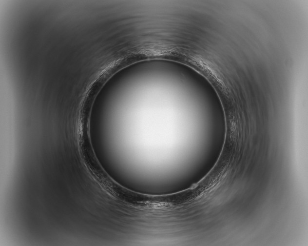 X0000095920539200801251032