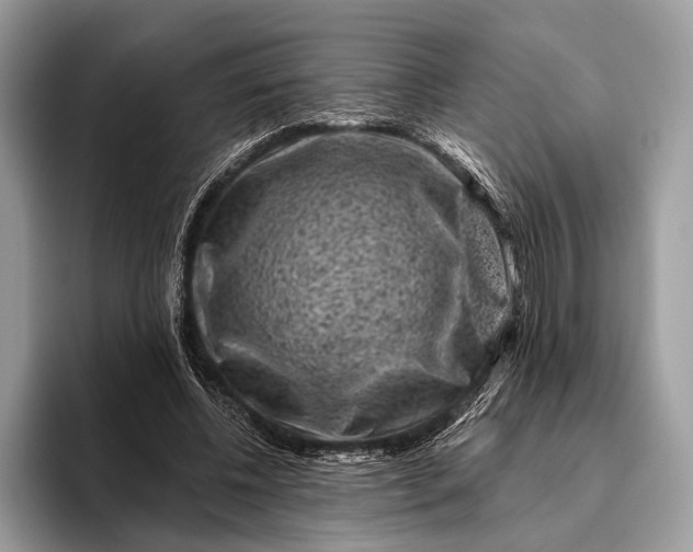 X0000095920540200801251032