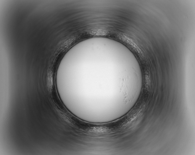 X0000095920541200801251032