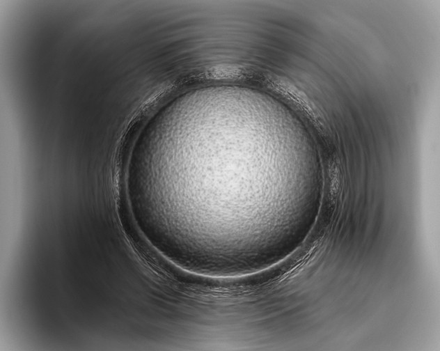 X0000095920542200801251032