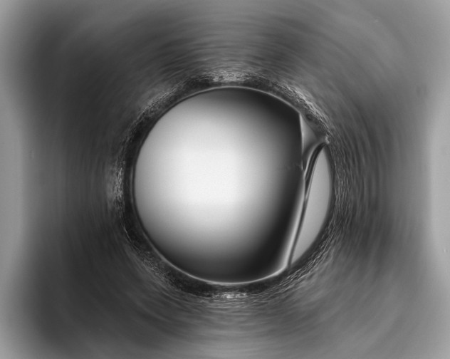 X0000095920543200801251032