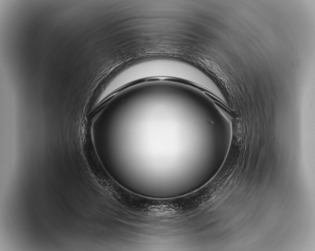 X0000095920544200801251032