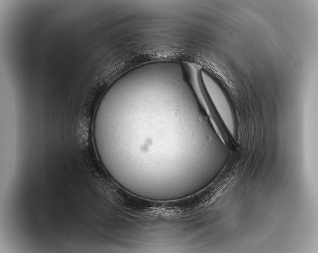 X0000095920545200801251032