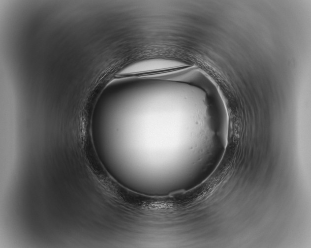 X0000095920546200801251032