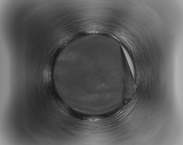 X0000095920547200801251032