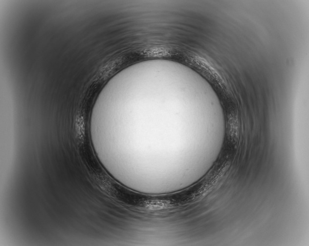 X0000095920549200801251032