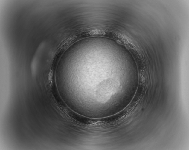 X0000095920550200801251032