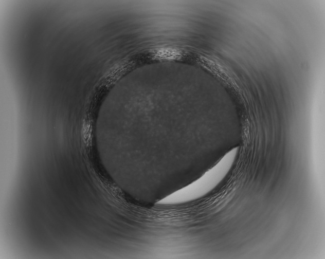 X0000095920551200801251032